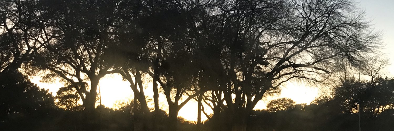 maianimacule's profile banner image