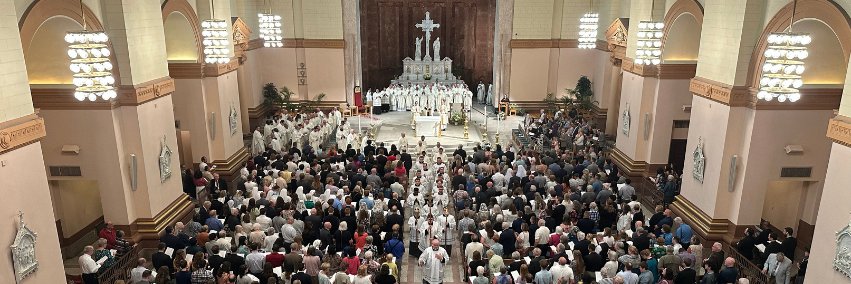 Archdiocese of Indianapolis banner