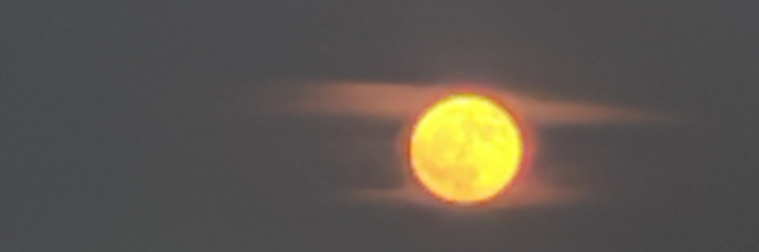 roche_rev's profile banner image