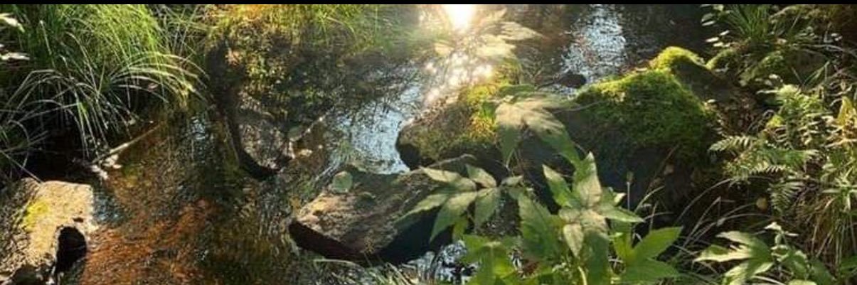 lostinashhh's profile banner image