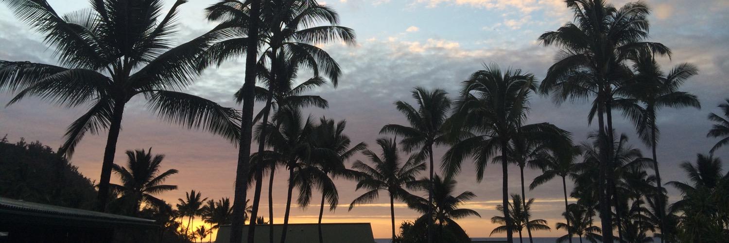 swinksm's profile banner image