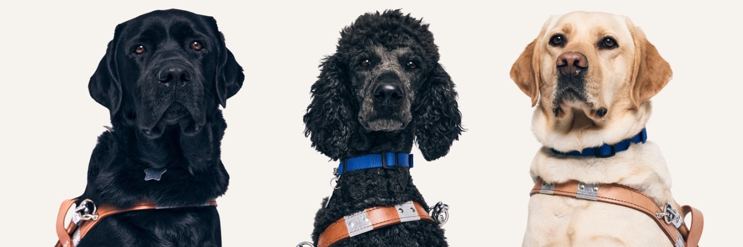 GuideDogsOfTheDesert banner