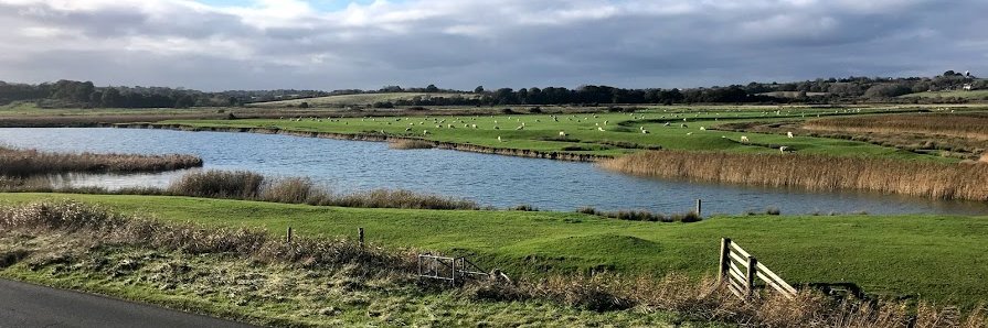 Bridget Cogley Goldberg banner