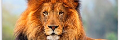 ArthurLES_K's profile banner image