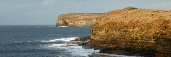 anndeebee Profile Banner