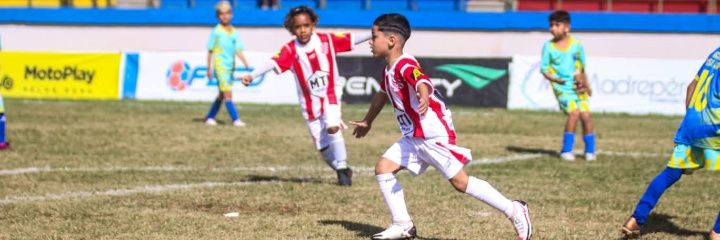 ✠ Fernandes ✠ banner