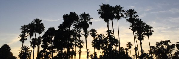 writerkathymcd Profile Banner