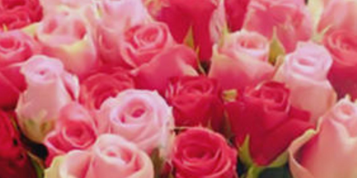 mindylee0923's profile banner image