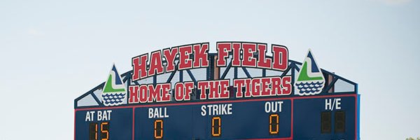 AL Tigers Baseball banner