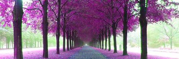 FibroBloggers Profile Banner