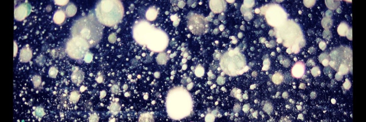 kLEAHkillough's profile banner image