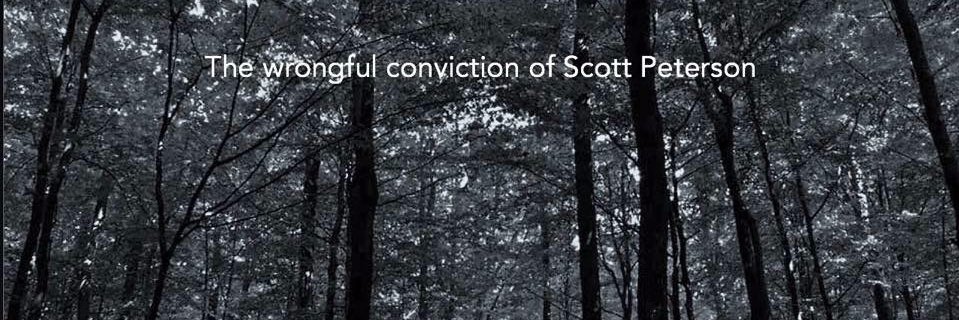 ScottPeterson Appeal banner