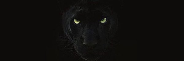 antwansilva1 Profile Banner