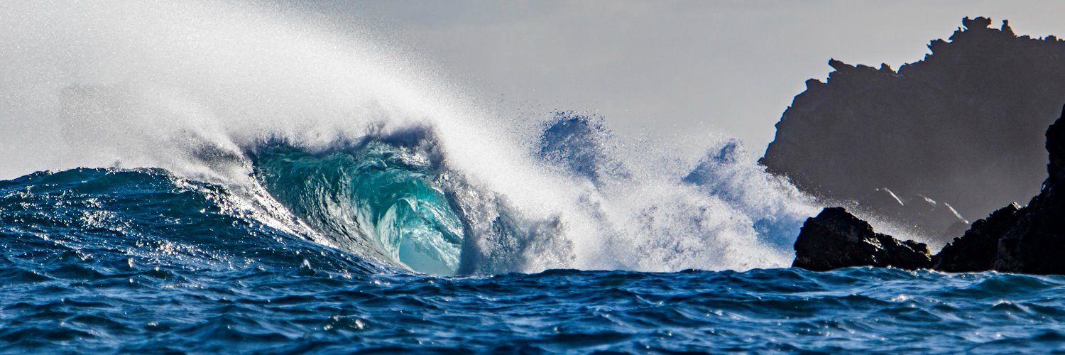 Gulf of California Marine Program banner