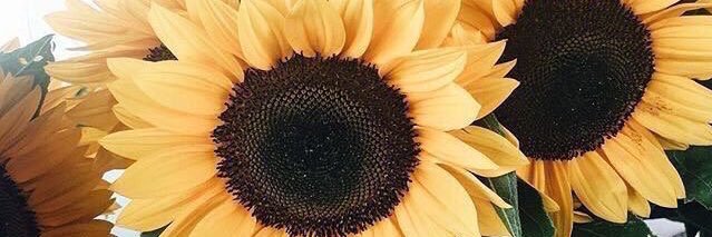 KaylynRenee13's profile banner image