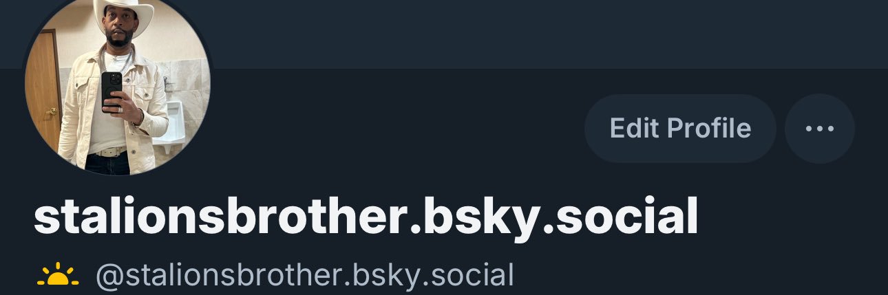 Theee Stallions Brother banner