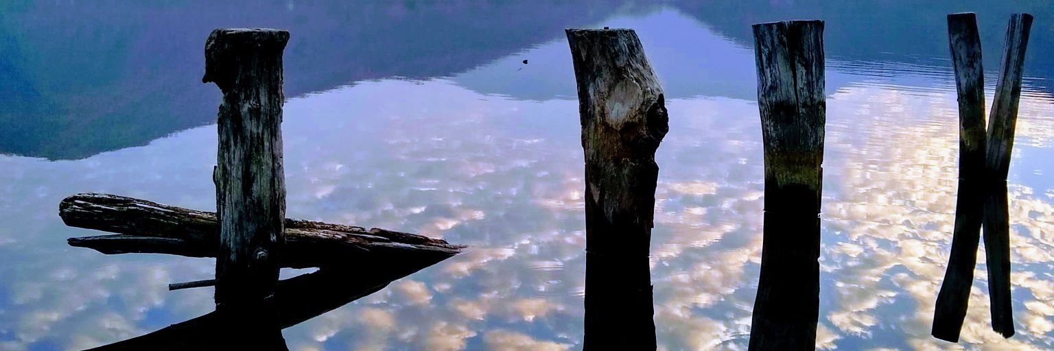 acastro0207's profile banner image