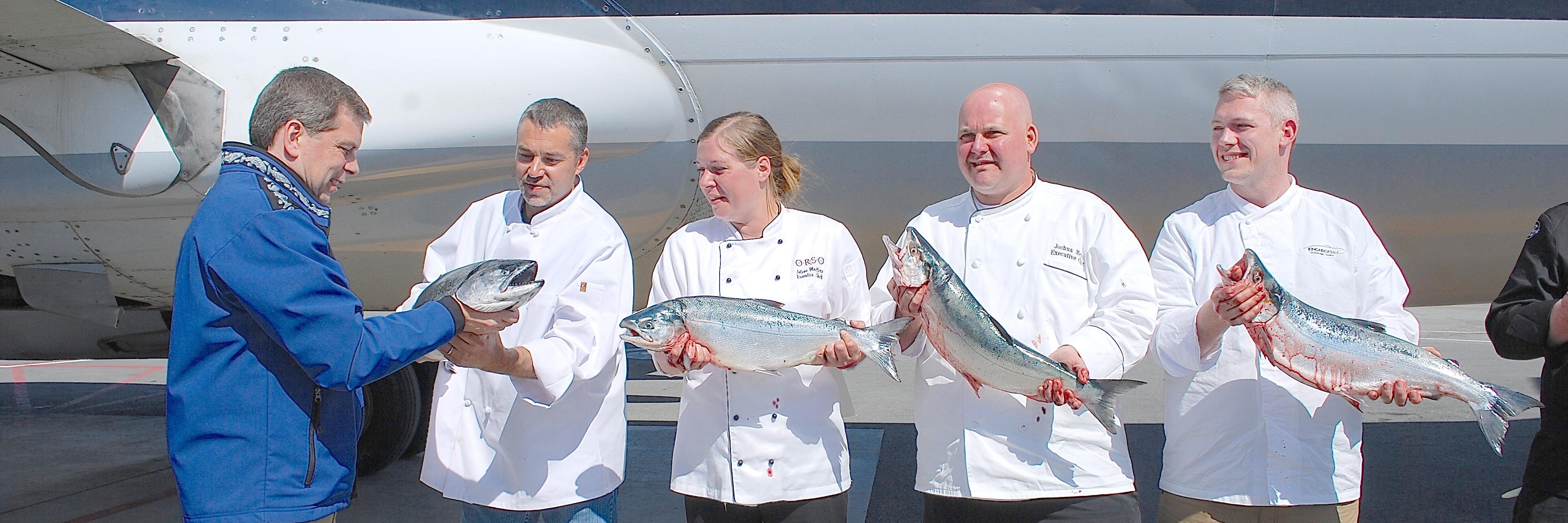 Senator Mark Begich banner