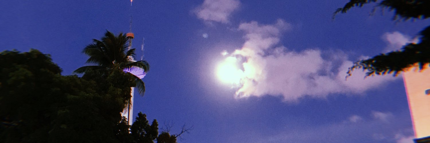 Lara banner