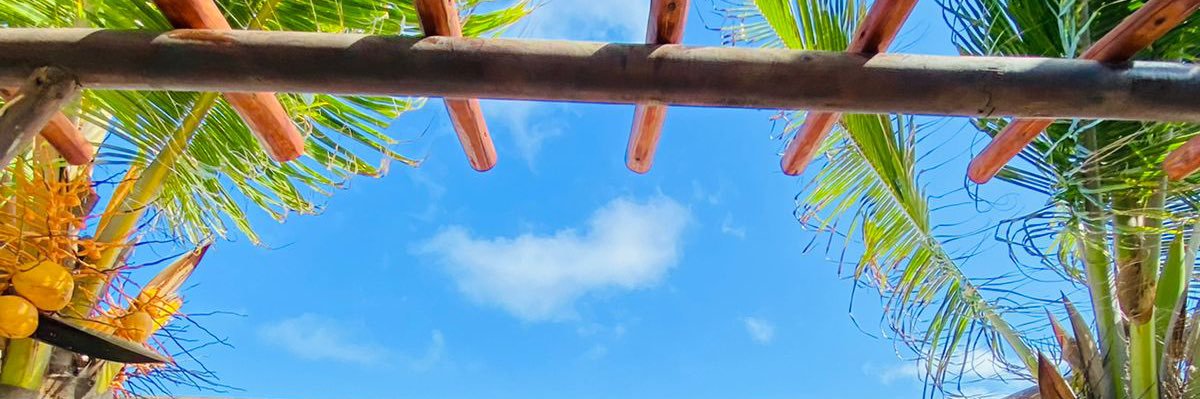 raileness's profile banner image
