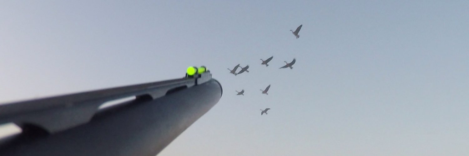 Hengelhardt97's profile banner image