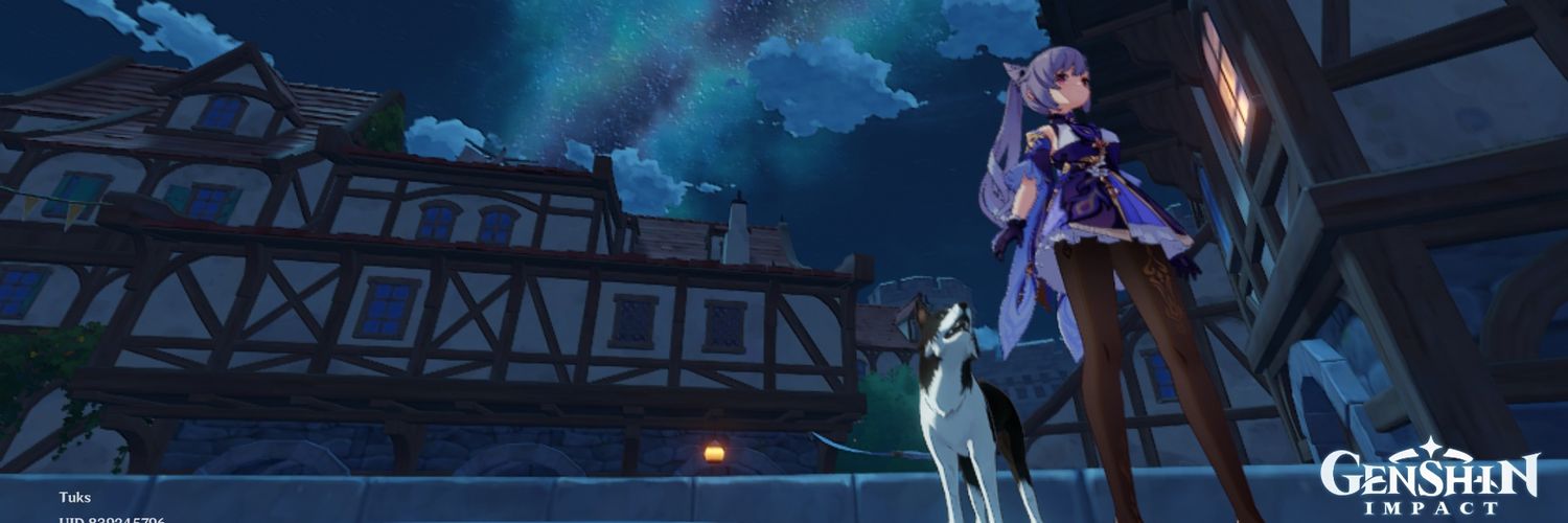 tukstogoxd's profile banner image