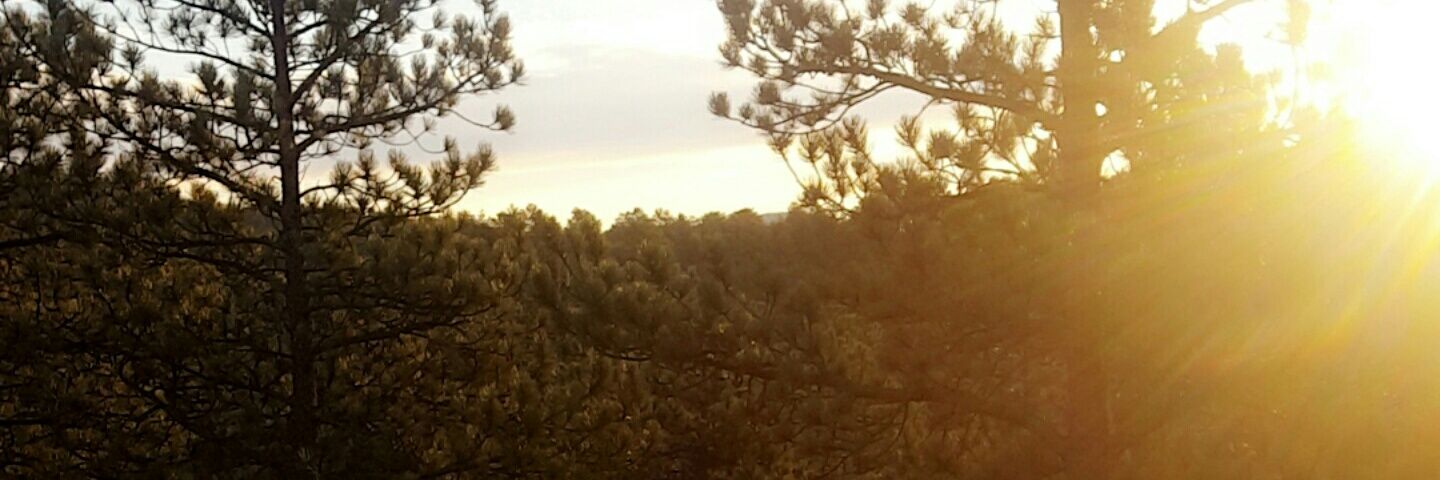 Tanner_Ringler1's profile banner image