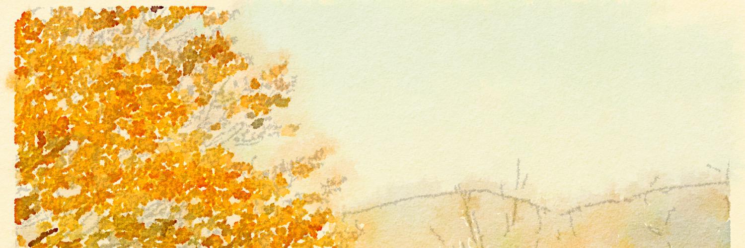muralist2's profile banner image