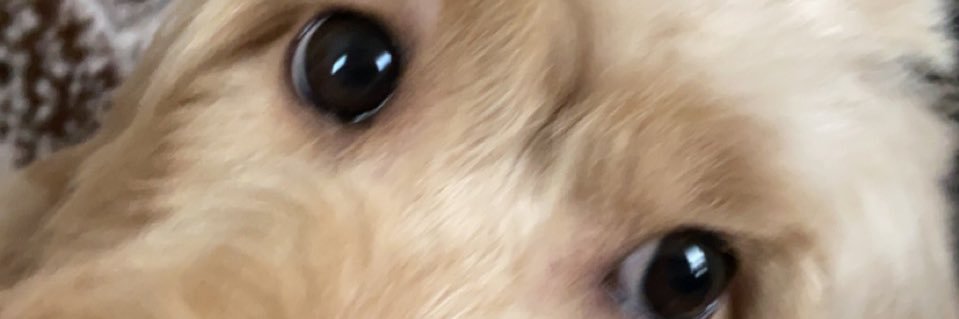 morganmkite_'s profile banner image