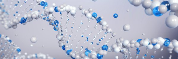 dslevine Profile Banner