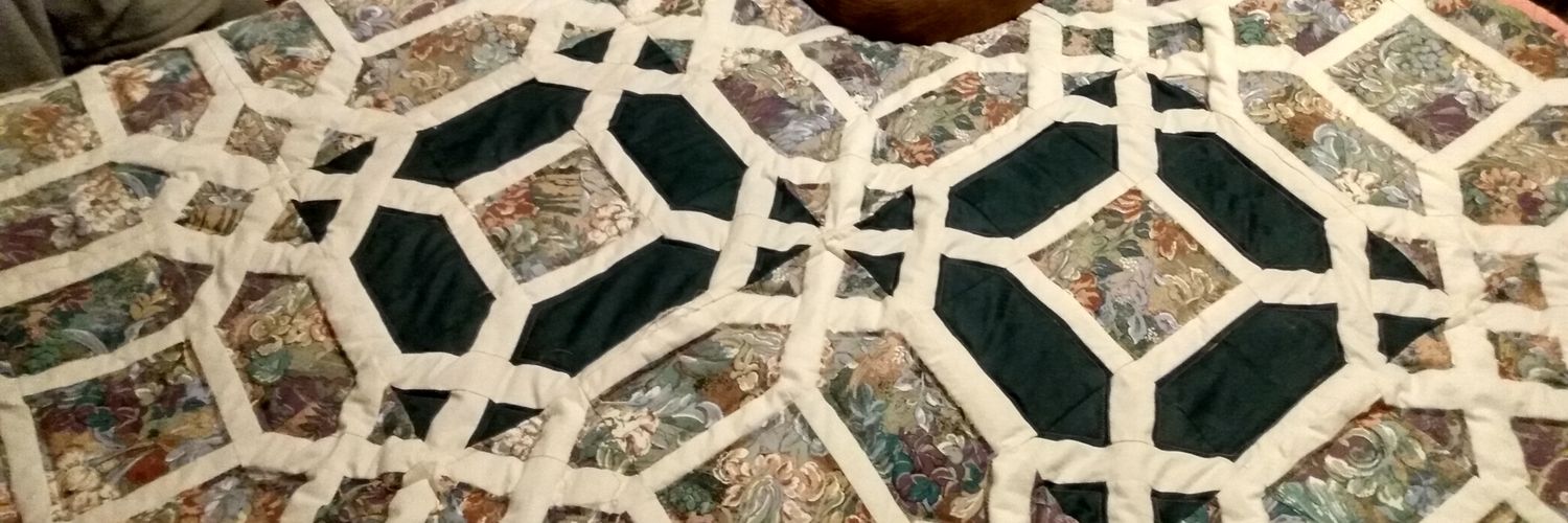 LenoraSikes's profile banner image