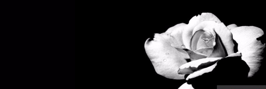 MT_Mother's profile banner image