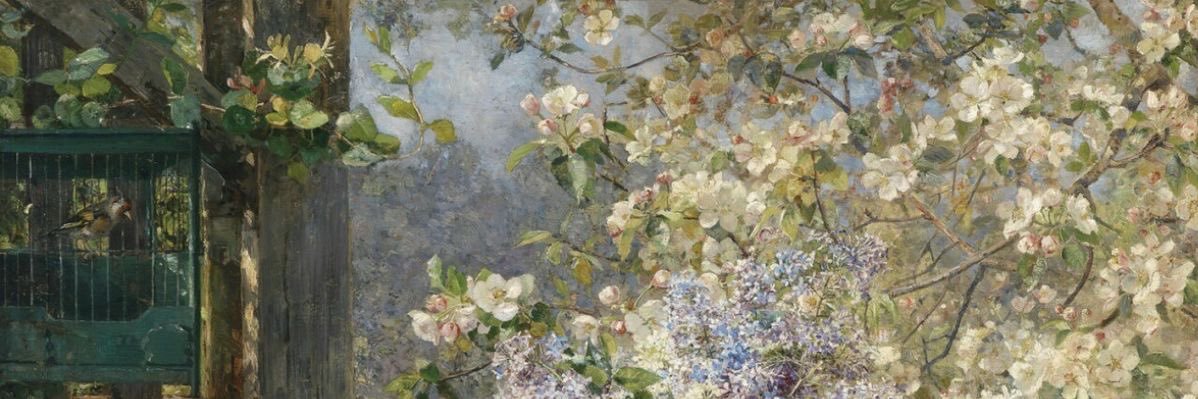 AishaRec's profile banner image