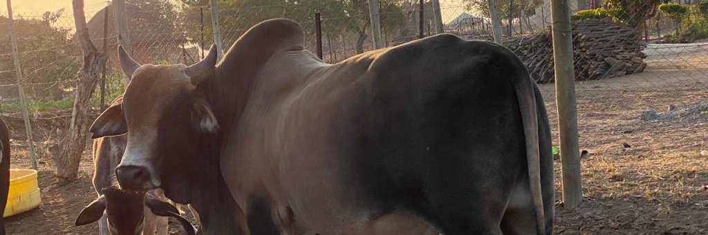 Tyrone Mathebula banner
