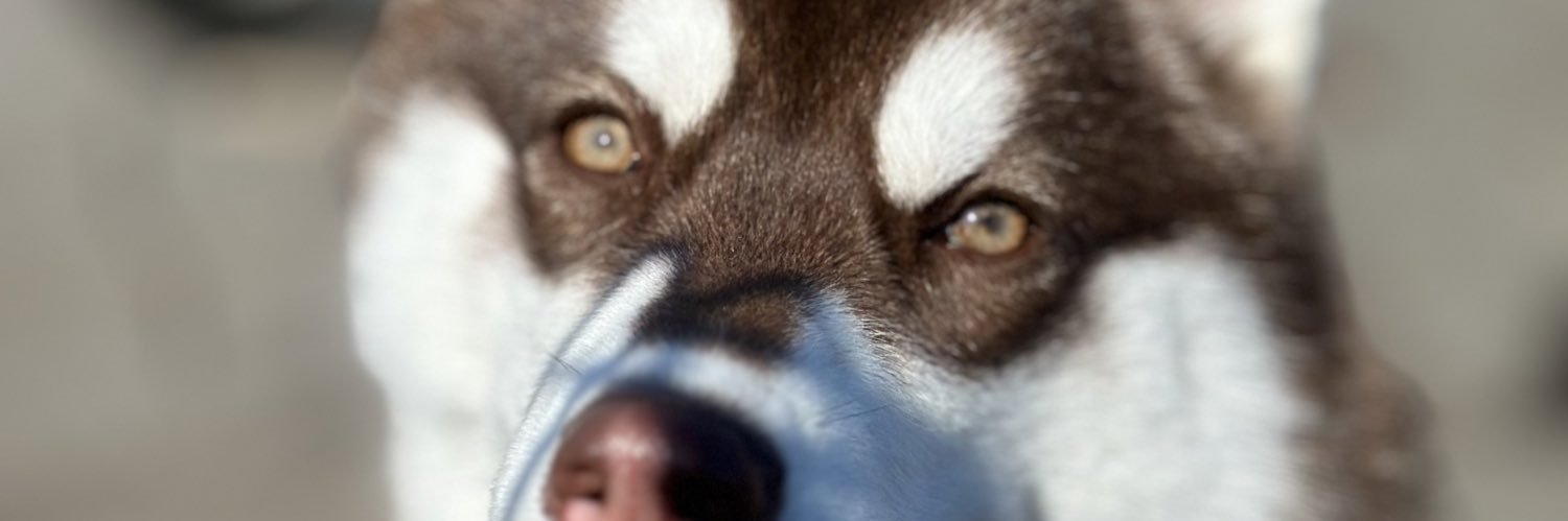 allx1oo's profile banner image