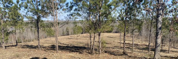 biggerthanball Profile Banner