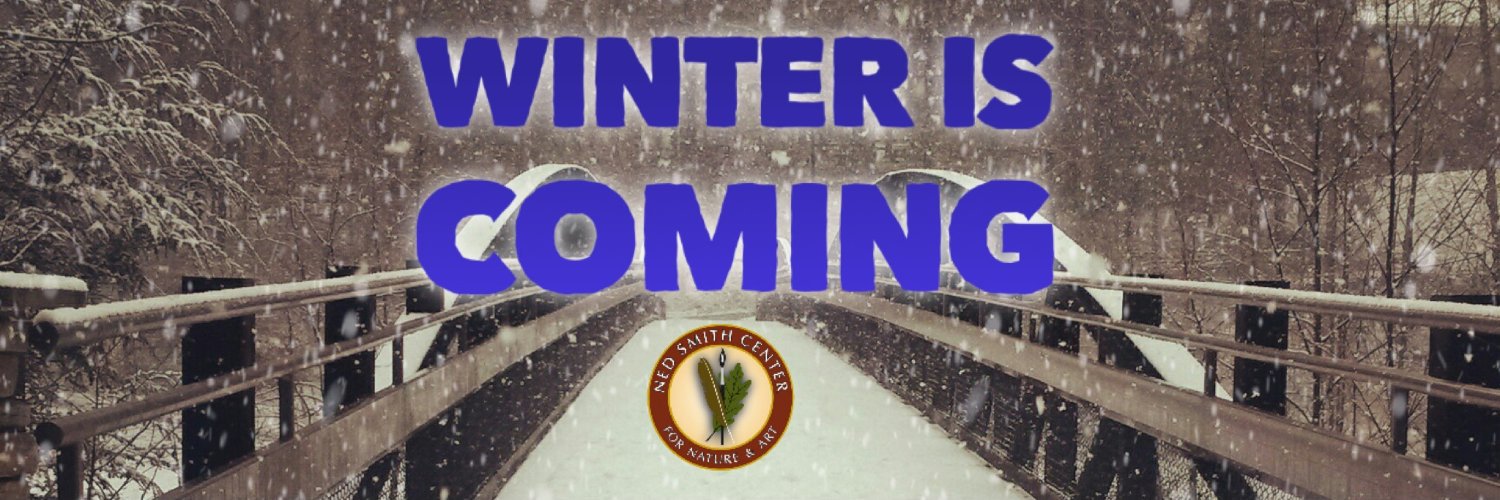 nedsmithcenter's profile banner image