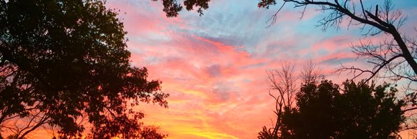 pwpics Profile Banner