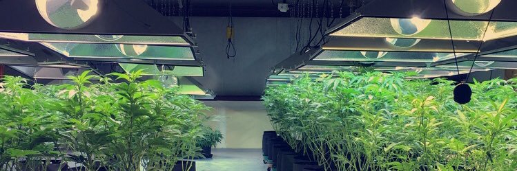 Usually_high's profile banner image