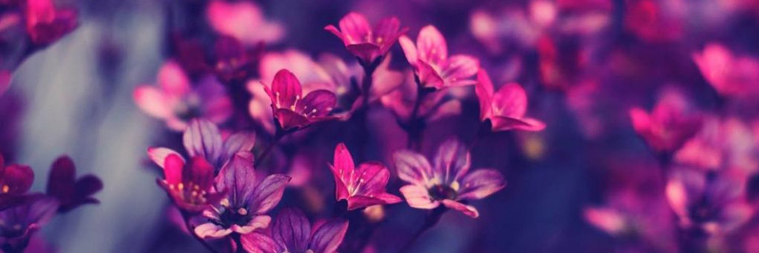 JoshSierraMx's profile banner image