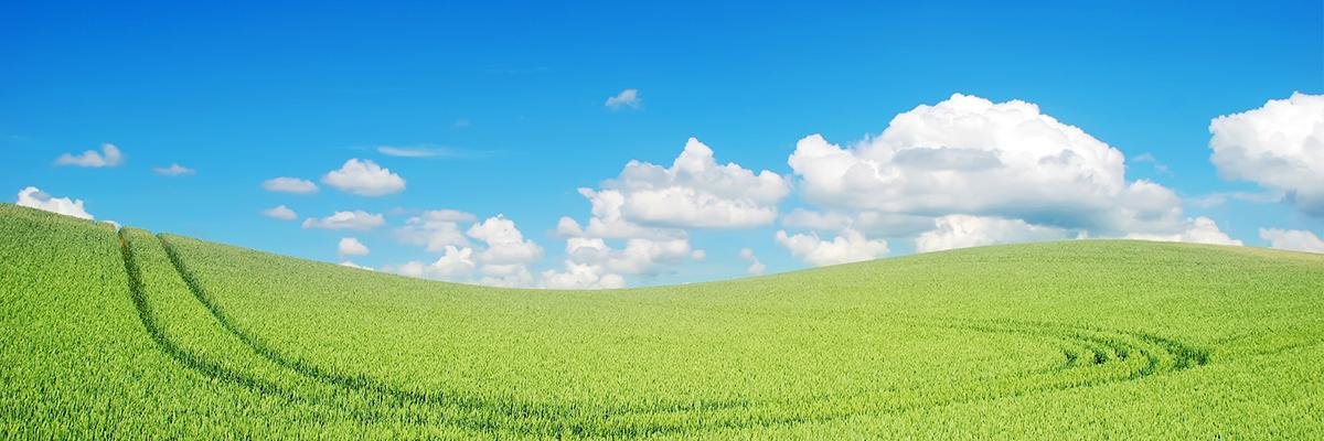 dcplusgreen's profile banner image