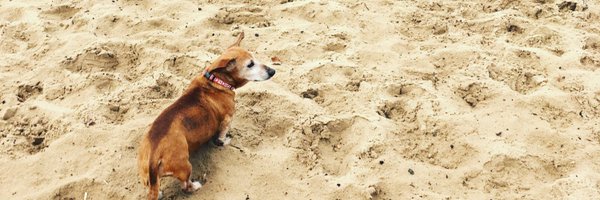 0MC18 Profile Banner