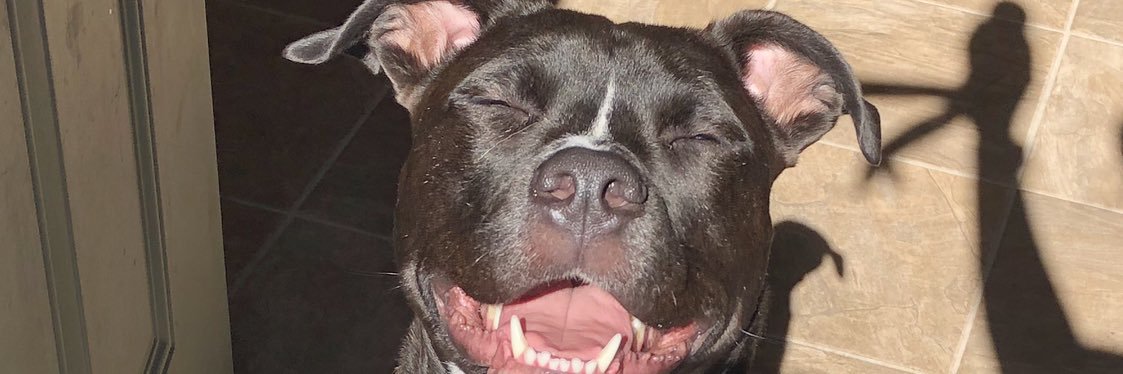 _daniboooo's profile banner image