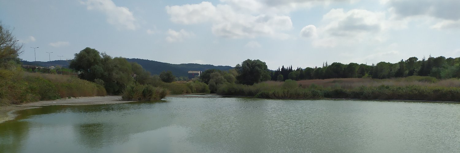 Metin Güngördü banner