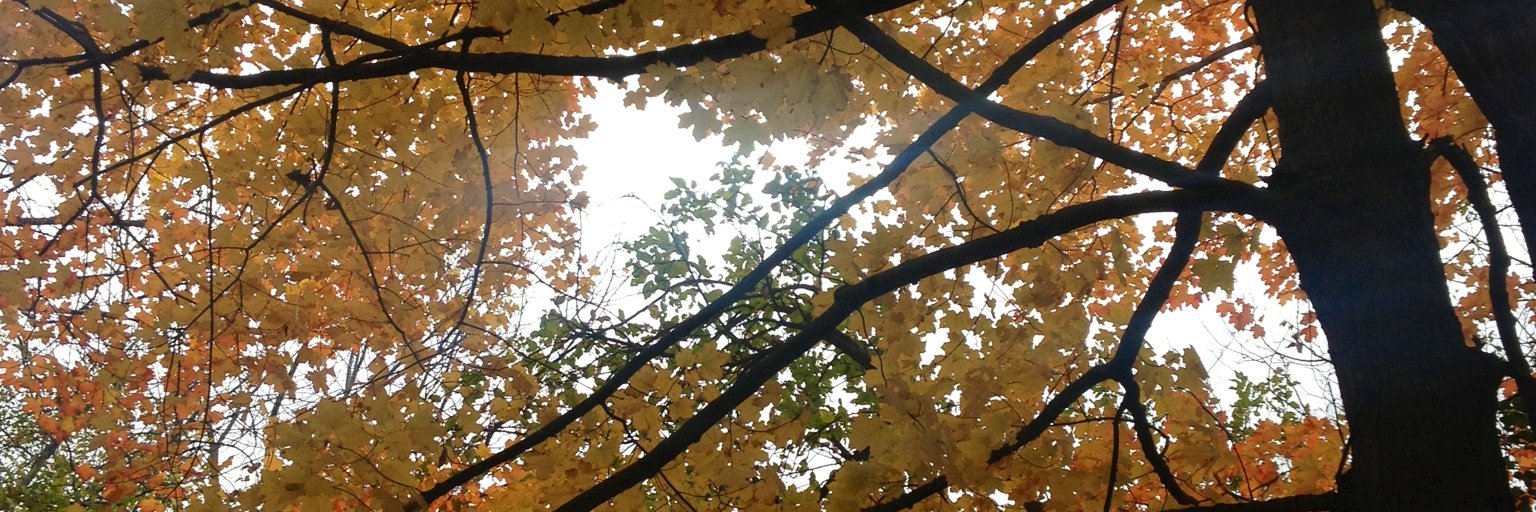 Ashley Clarke banner