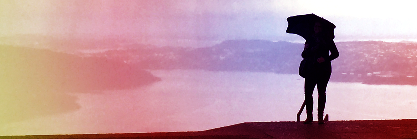 tgebauer's profile banner image