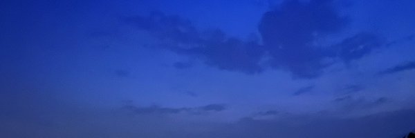 thepepullers Profile Banner