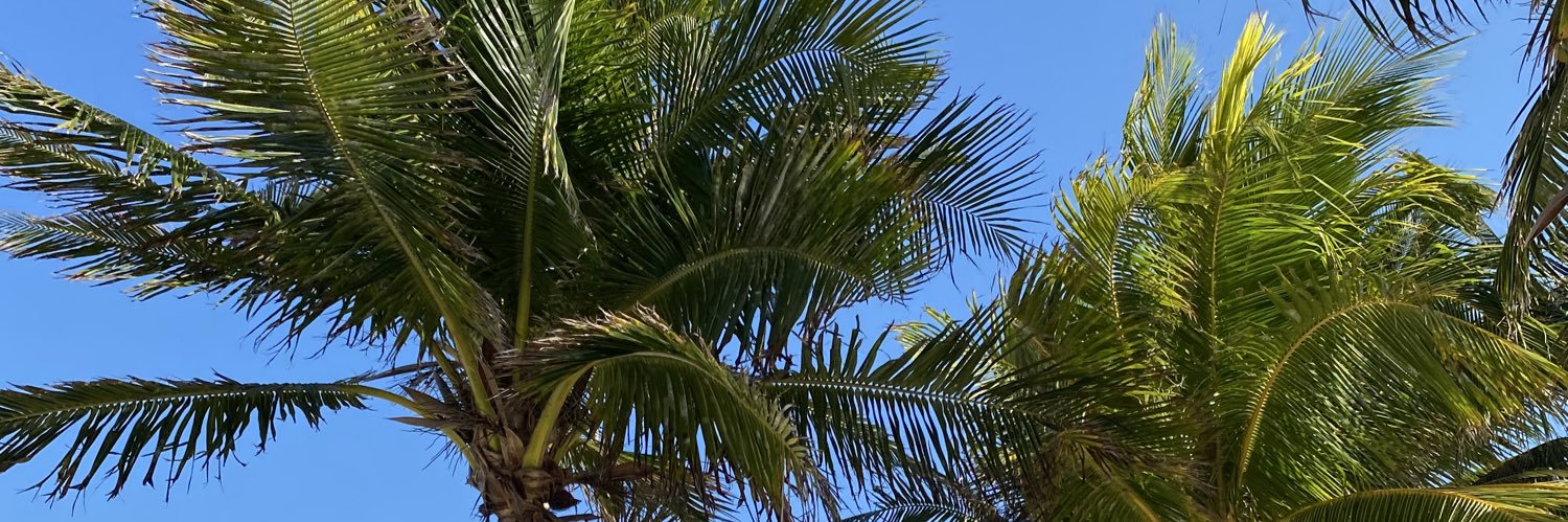 veroforeign's profile banner image