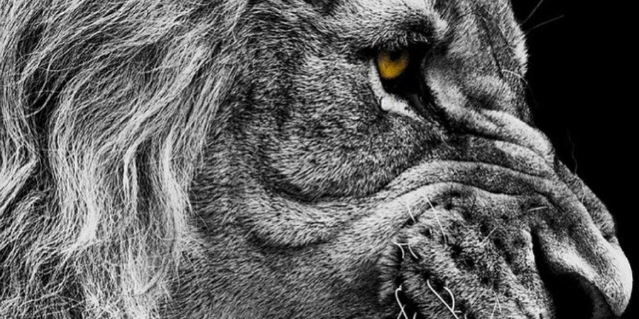 BrianSean21's profile banner image