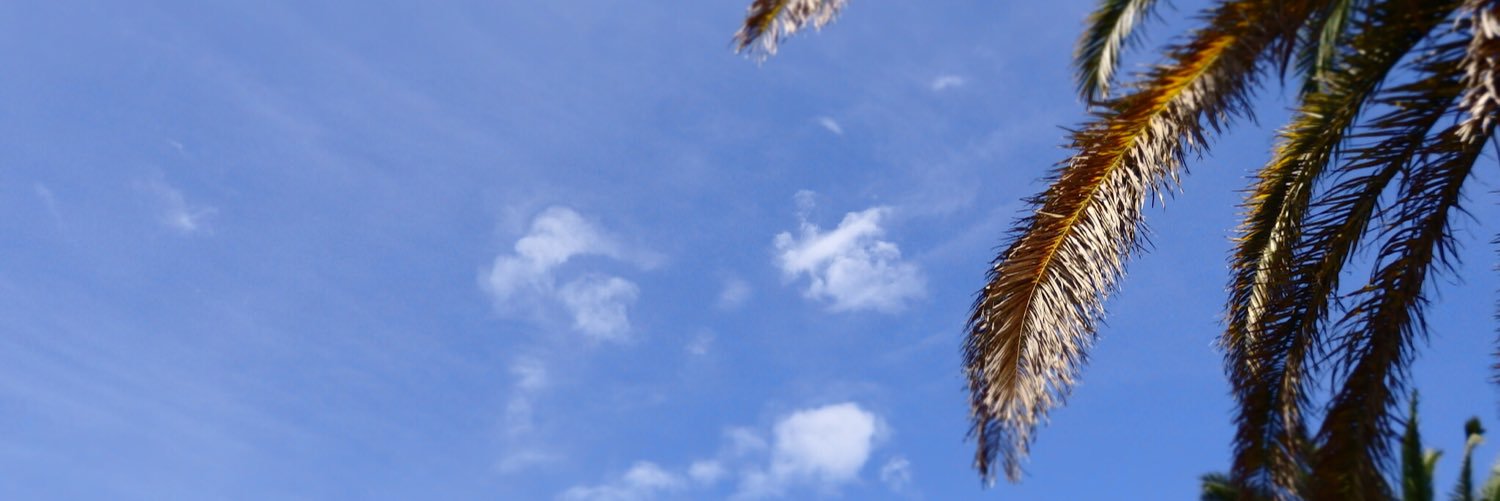 techio_sg's profile banner image